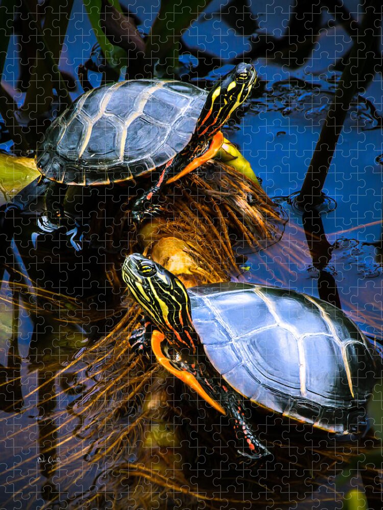 Reptile Jigsaw Puzzle featuring the photograph Eastern Painted Turtles by Bob Orsillo