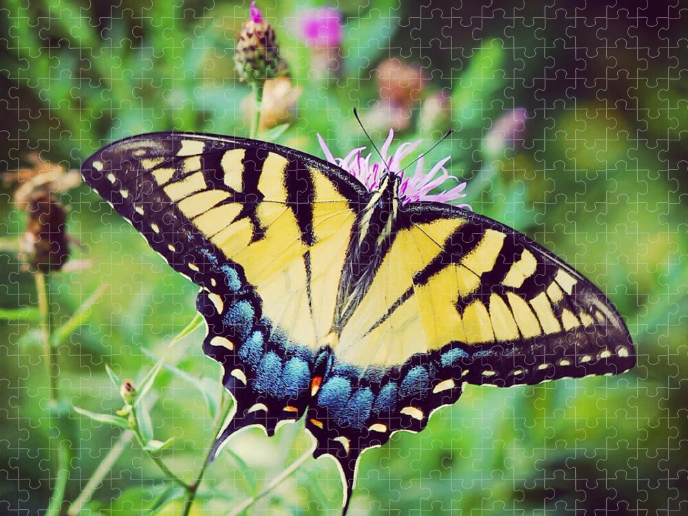 Butterfly Jigsaw Puzzle featuring the photograph Eastern Tiger Swallowtail by Kerri Farley