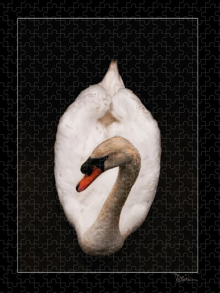 Swan Jigsaw Puzzle featuring the photograph Elegant Swan by Peggy Dietz