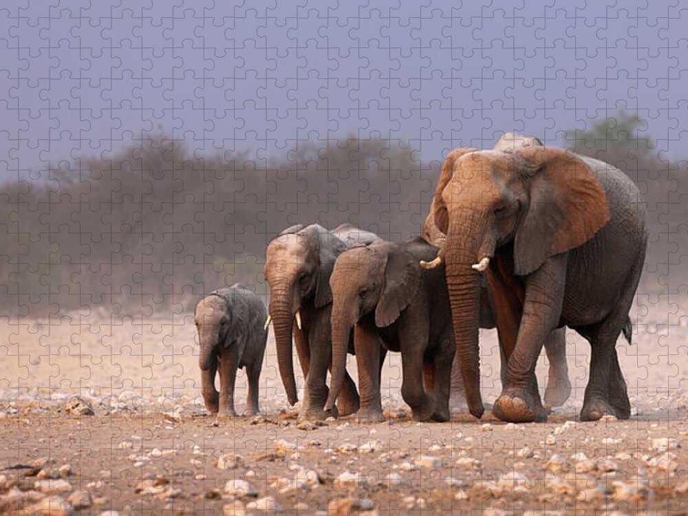 Wild Jigsaw Puzzle featuring the photograph Elephant herd by Johan Swanepoel