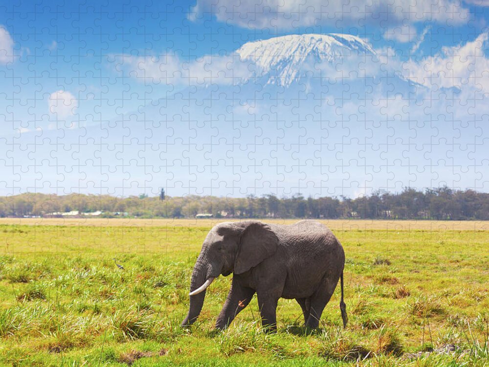 Kenya Jigsaw Puzzle featuring the photograph Elephant In Amboseli by Ivanmateev