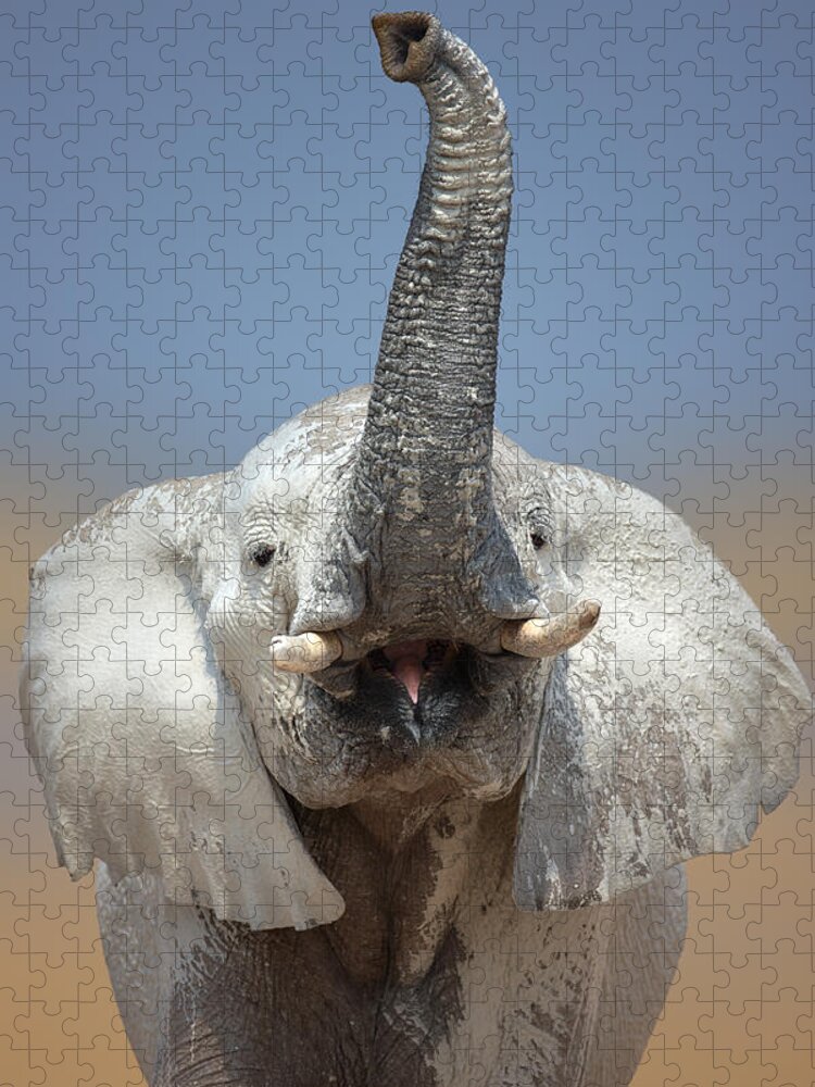 Wild Jigsaw Puzzle featuring the photograph Elephant portrait by Johan Swanepoel