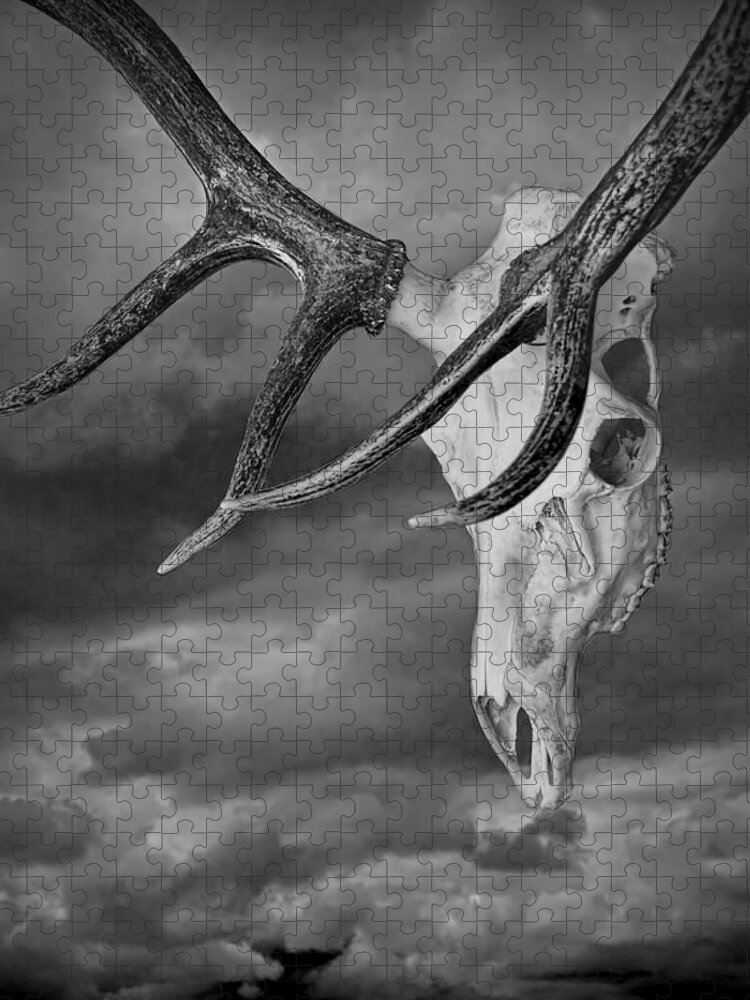 Art Jigsaw Puzzle featuring the photograph Elk Skull with Sky by Randall Nyhof