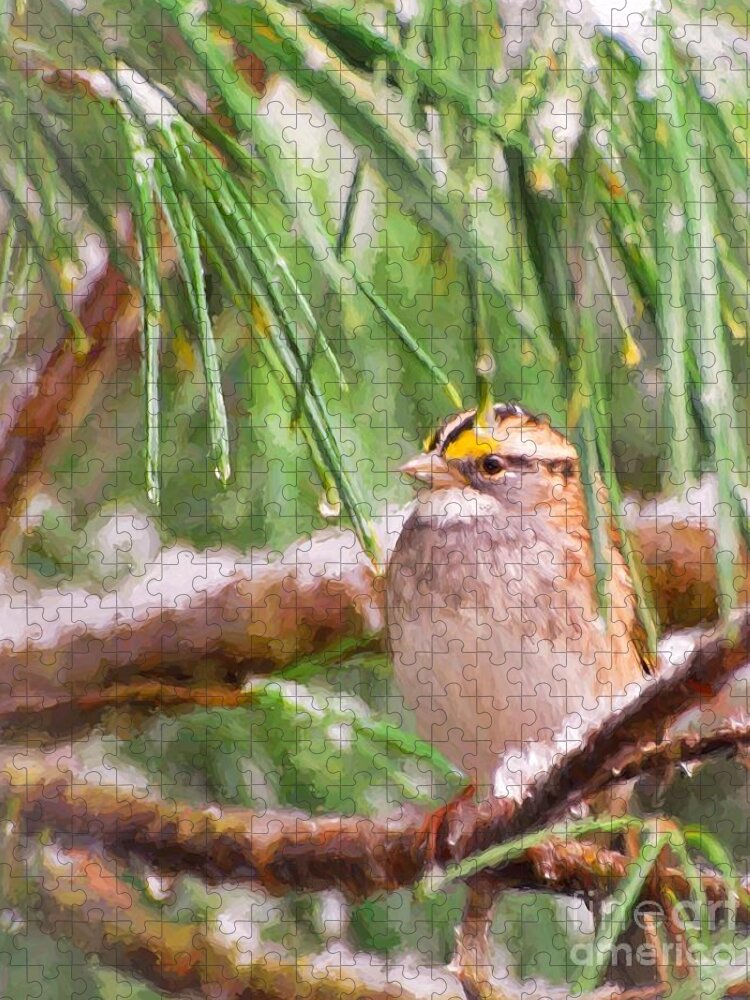 White-throated Sparrow Jigsaw Puzzle featuring the photograph Enchanted by Kerri Farley