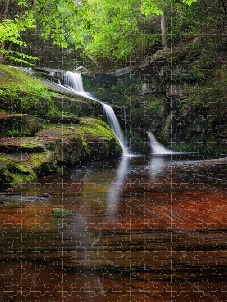 Smooth Water Jigsaw Puzzle featuring the photograph Enders Falls Portrait by Bill Wakeley