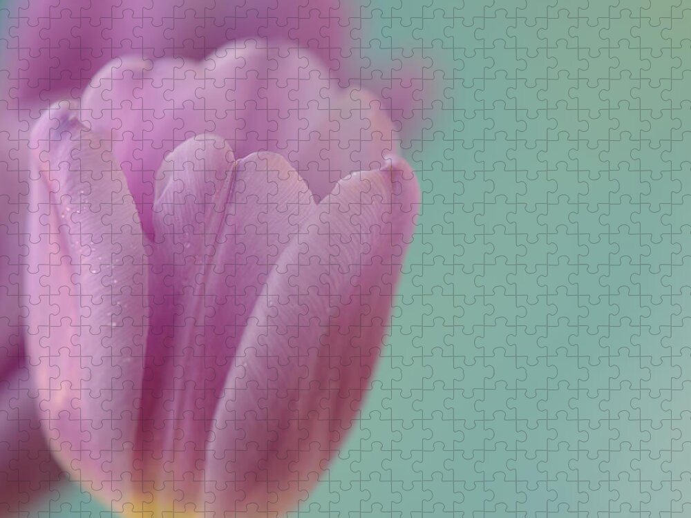 Tulip Jigsaw Puzzle featuring the photograph Eternal Truth by Melanie Moraga