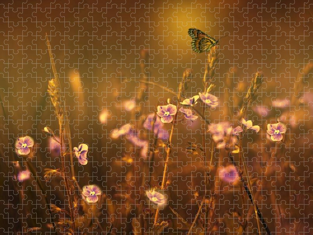 Butterfly Jigsaw Puzzle featuring the photograph Evening Magic by Movie Poster Prints