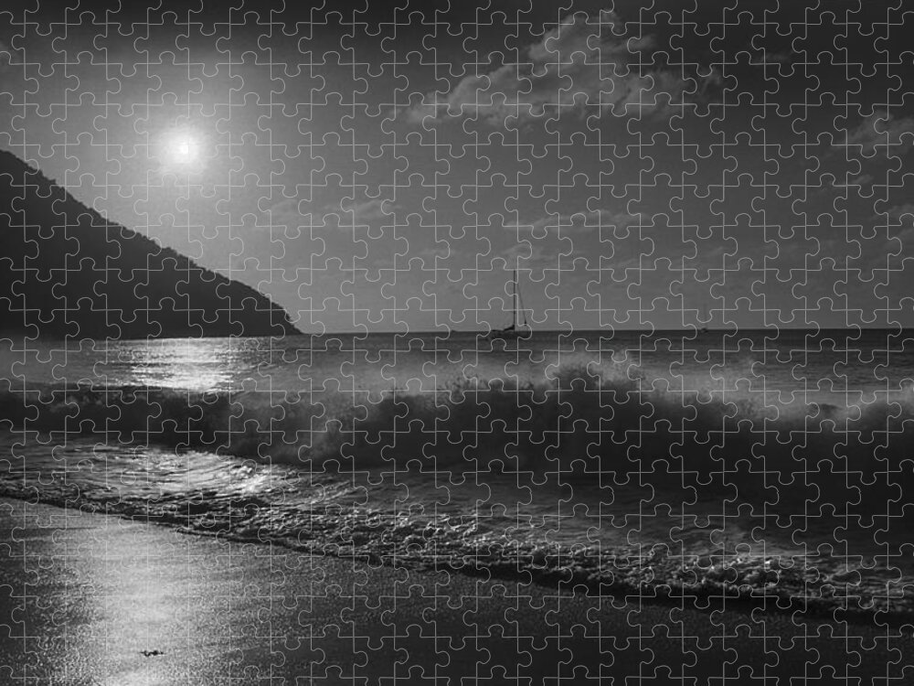  Black And White Jigsaw Puzzle featuring the photograph Evening Surf by Terence Davis