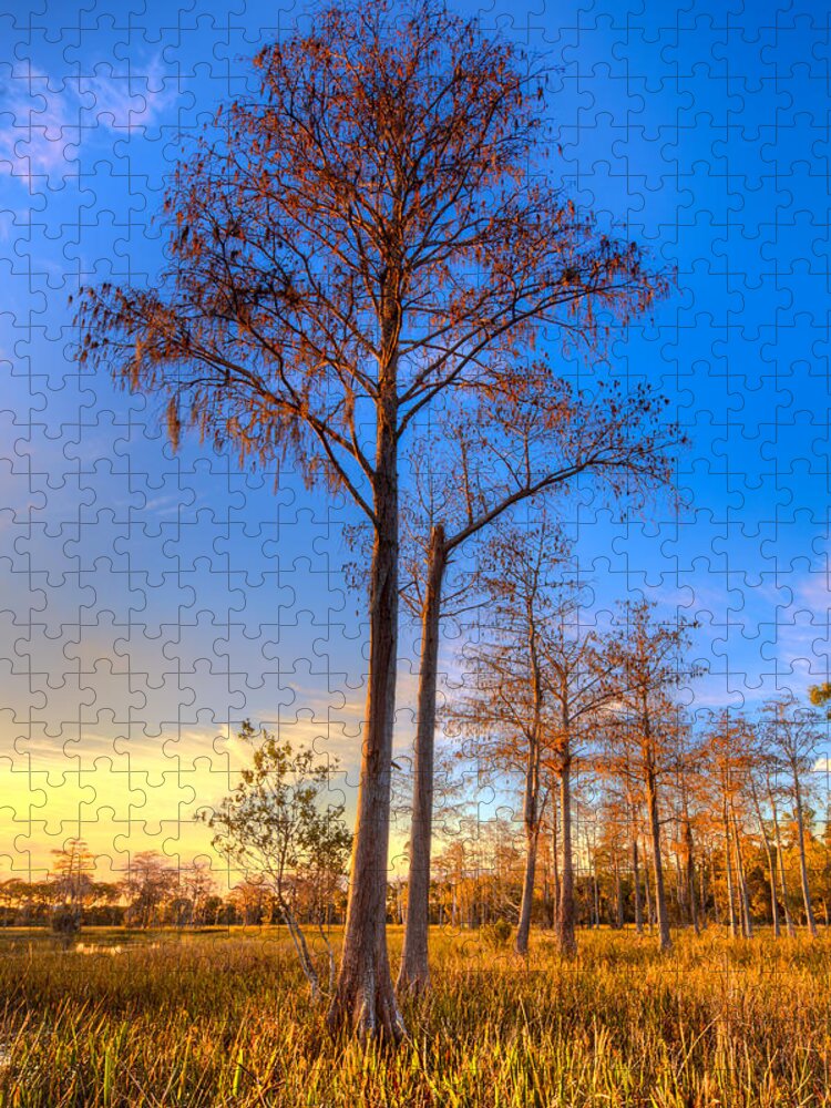 Clouds Jigsaw Puzzle featuring the photograph Everglades at Sunset by Debra and Dave Vanderlaan