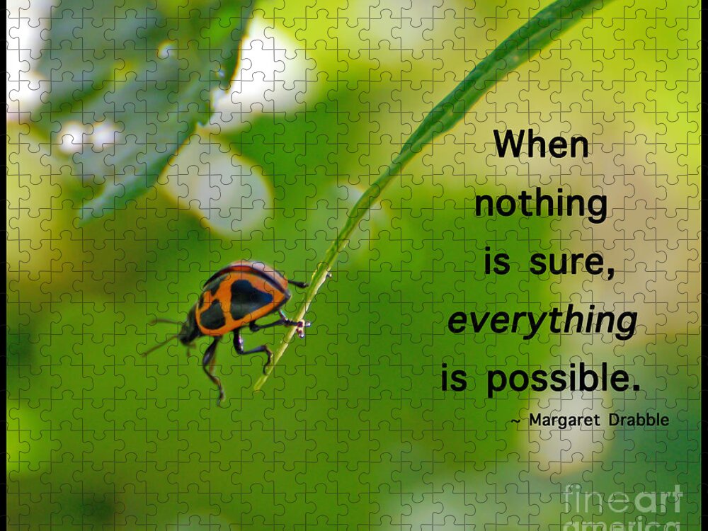 Ladybug Jigsaw Puzzle featuring the photograph Everything Is Possible by Kerri Farley