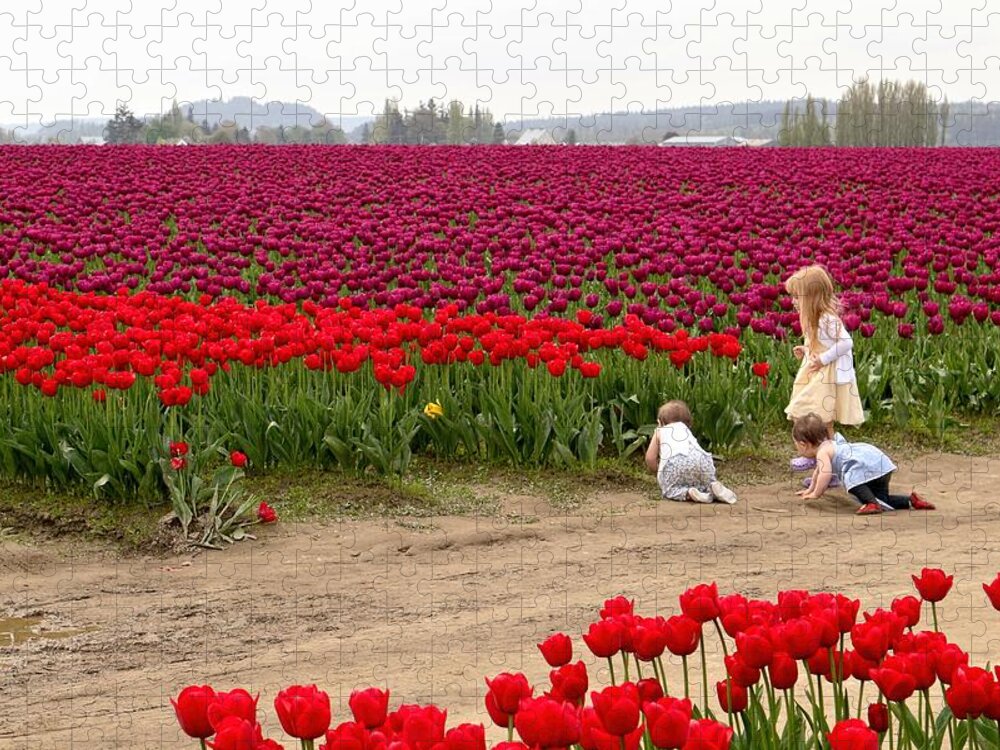 Tulips Jigsaw Puzzle featuring the photograph Exploring the Tulip Fields by Jennifer Wheatley Wolf