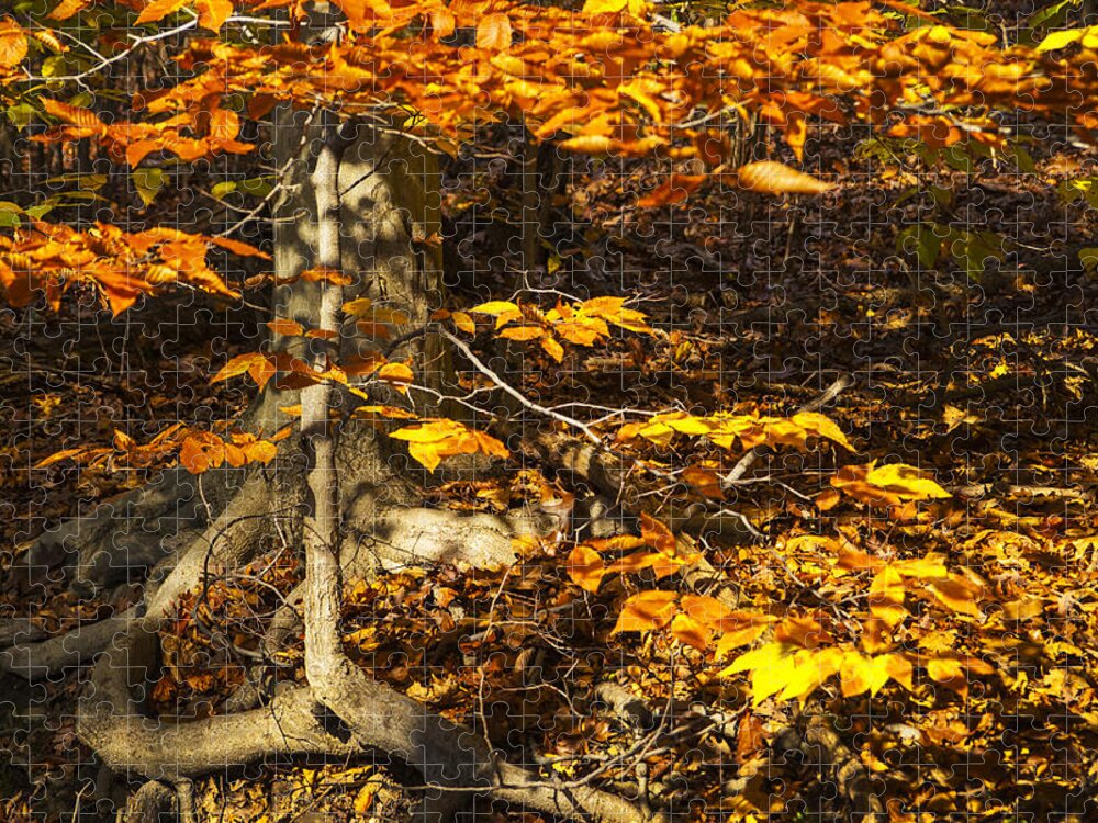 Autumn Jigsaw Puzzle featuring the photograph Extra Branch by Paul W Faust - Impressions of Light
