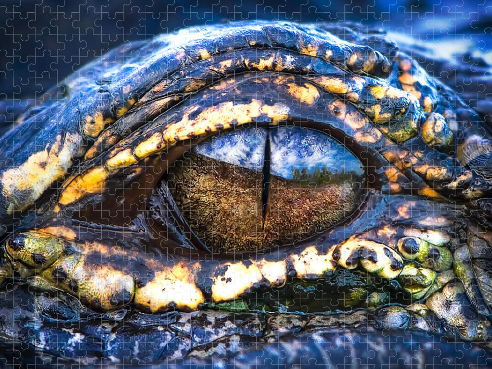 Alligator Jigsaw Puzzle featuring the photograph Eye of the Dragon by Mark Andrew Thomas