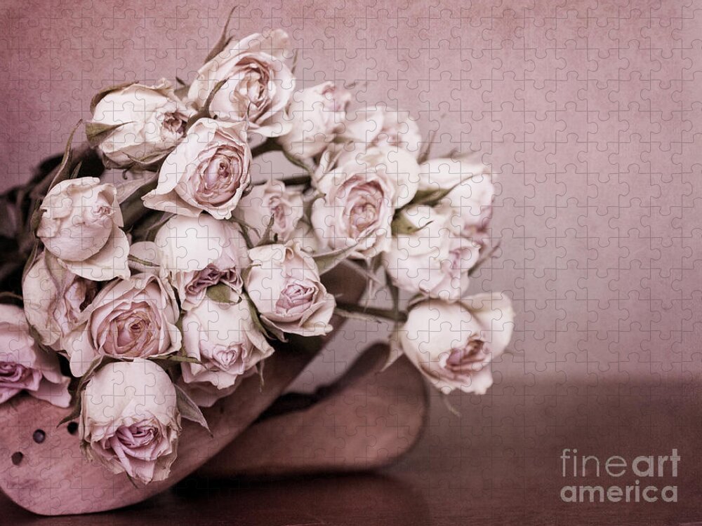 Rose Jigsaw Puzzle featuring the photograph Fade Away by Priska Wettstein