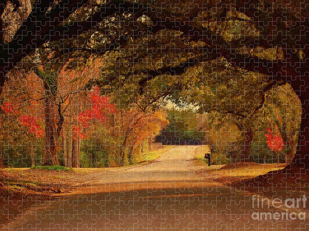 Fall Jigsaw Puzzle featuring the photograph Fall Along A Country Road by Kathy Baccari