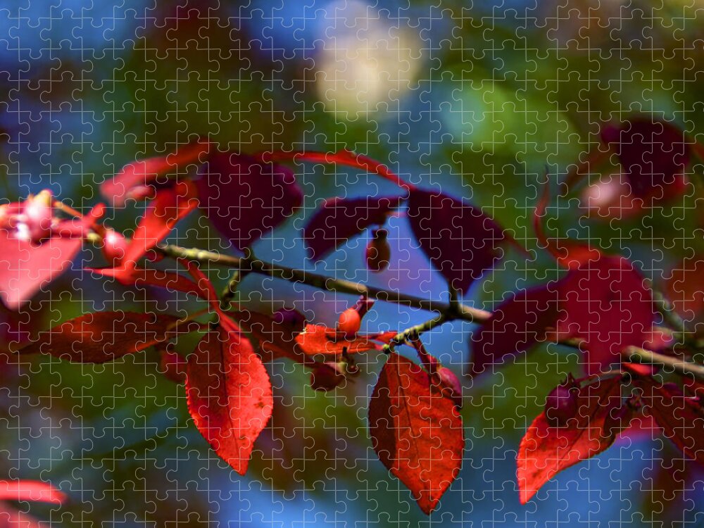 Autumn Jigsaw Puzzle featuring the photograph Fall Bokeh by Kathi Isserman