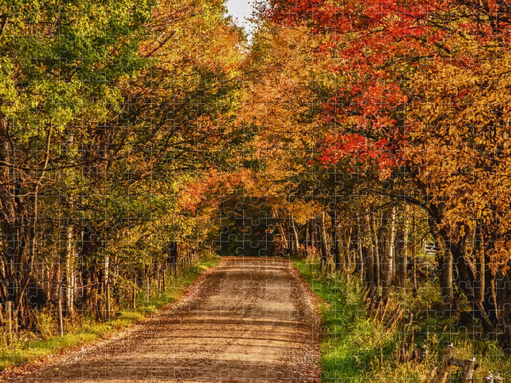 Peacham Vermont Jigsaw Puzzle featuring the photograph Fall color along a dirt backroad by Jeff Folger