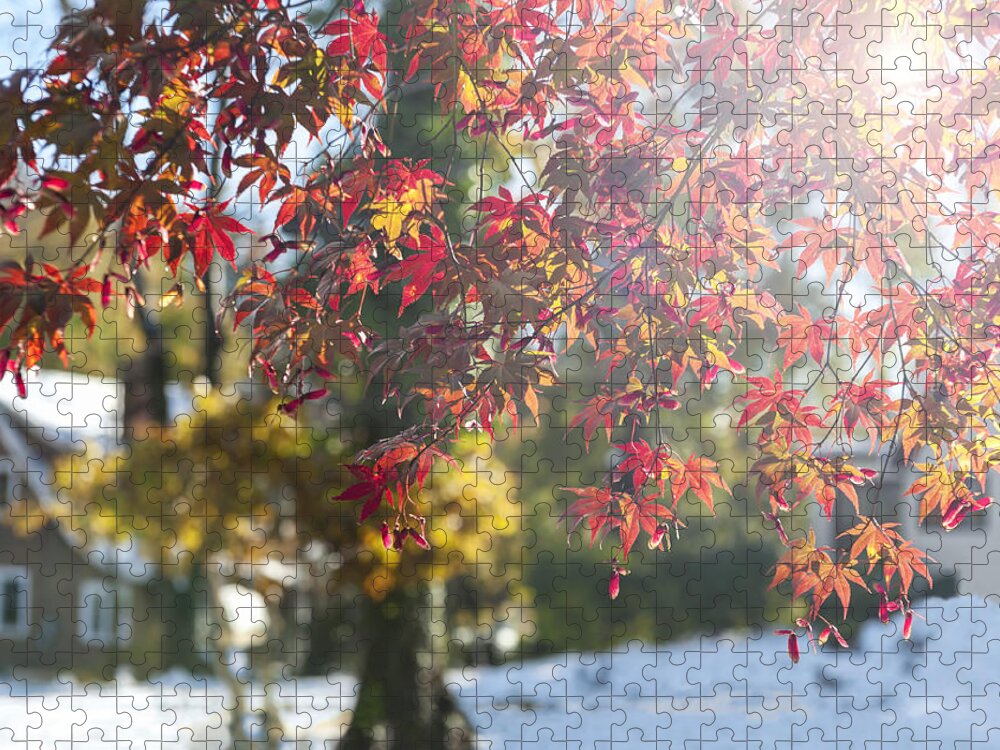Fall Jigsaw Puzzle featuring the photograph Fall Color and Early Snow I by Marianne Campolongo