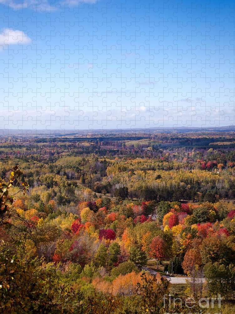 Fall Colors Jigsaw Puzzle featuring the photograph Fall Colors by Gwen Gibson