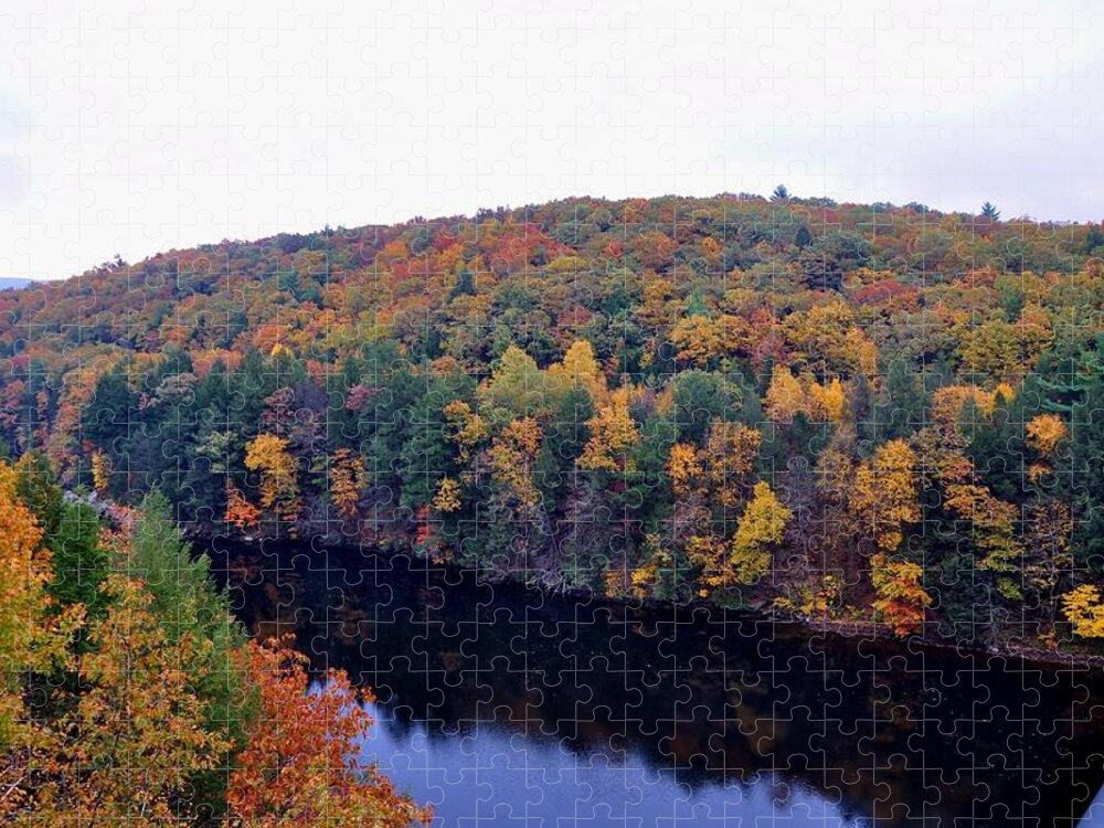 Fall Jigsaw Puzzle featuring the photograph Fall Colors by Robert Habermehl