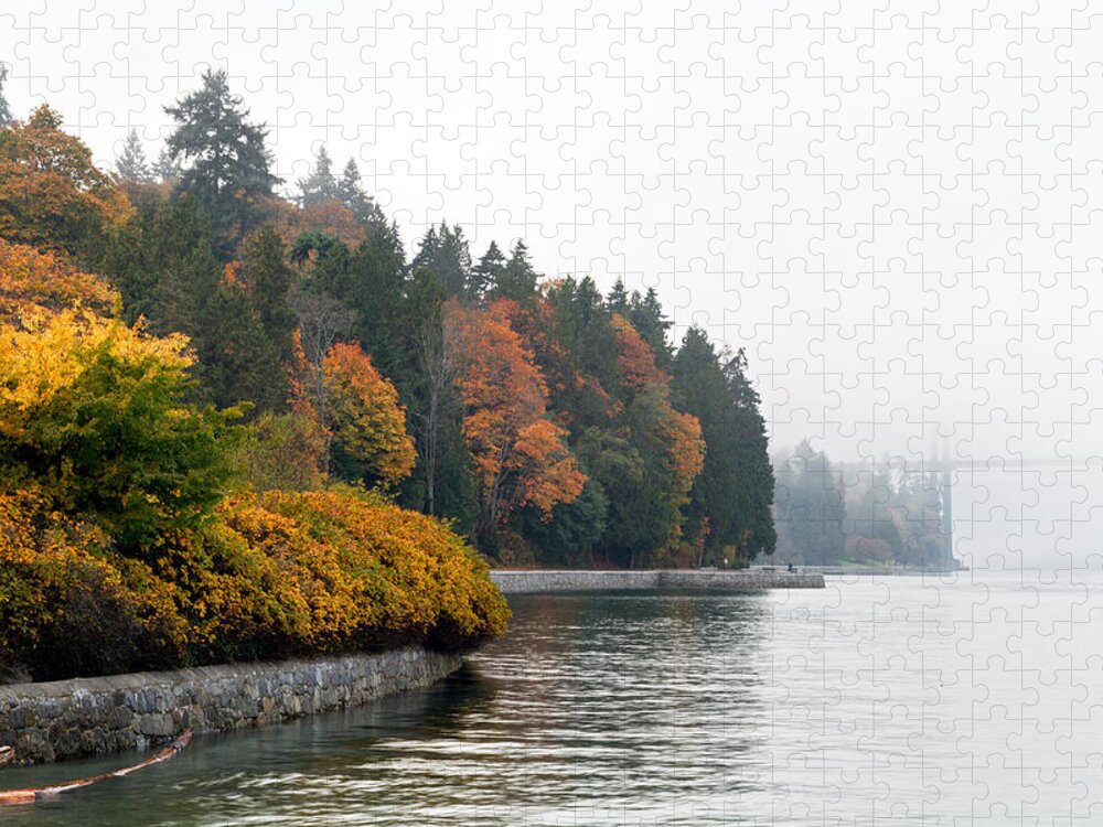 Acer Macrophyllum Jigsaw Puzzle featuring the photograph Fall Fog at Stanley Park by Michael Russell