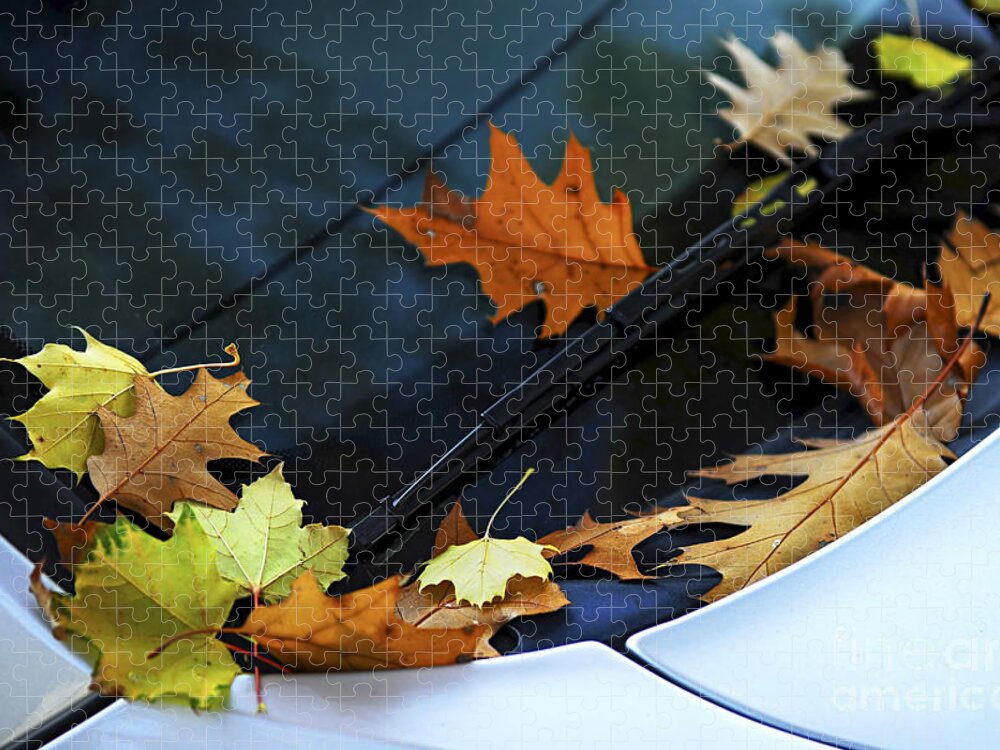 Autumn Jigsaw Puzzle featuring the photograph Fall leaves on a car by Elena Elisseeva