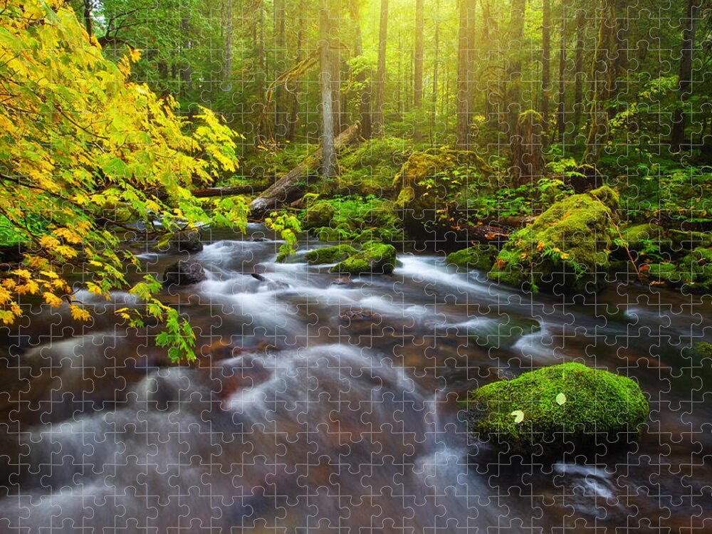 Sun Jigsaw Puzzle featuring the photograph Fall Morning Hike by Darren White