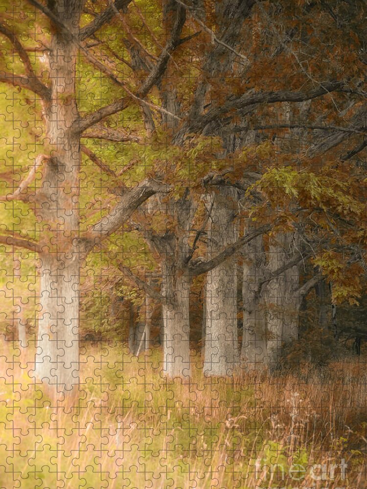 Fall Autumn Colors Jigsaw Puzzle featuring the photograph Fall Tree Colors The Pines by Peggy Franz