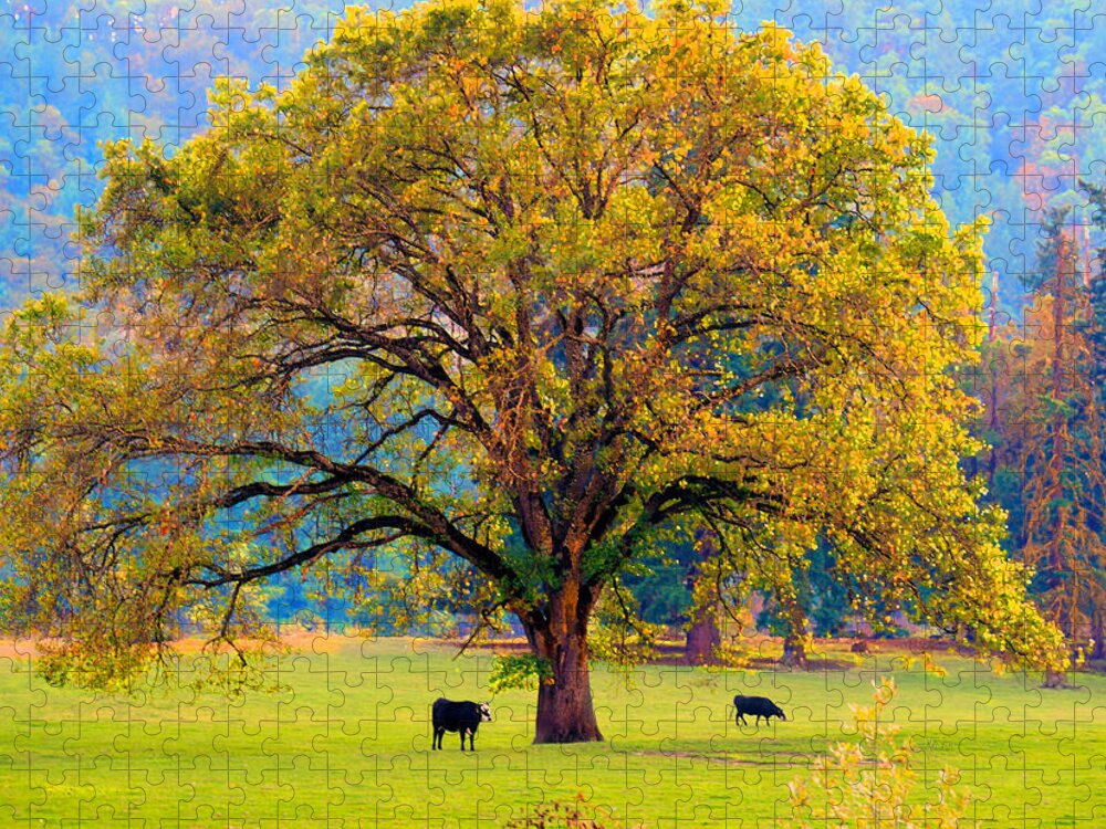 Pastoral Jigsaw Puzzle featuring the photograph Fall Tree with Two Cows by Michele Avanti