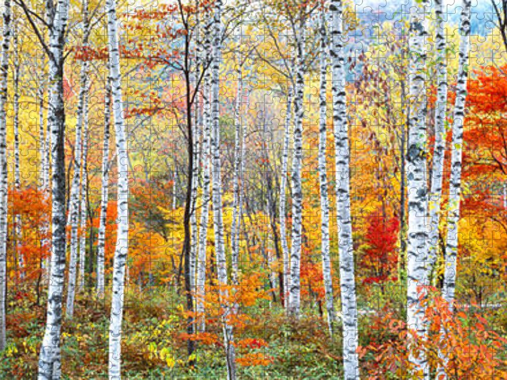 Photography Jigsaw Puzzle featuring the photograph Fall Trees, Shinhodaka, Gifu, Japan by Panoramic Images