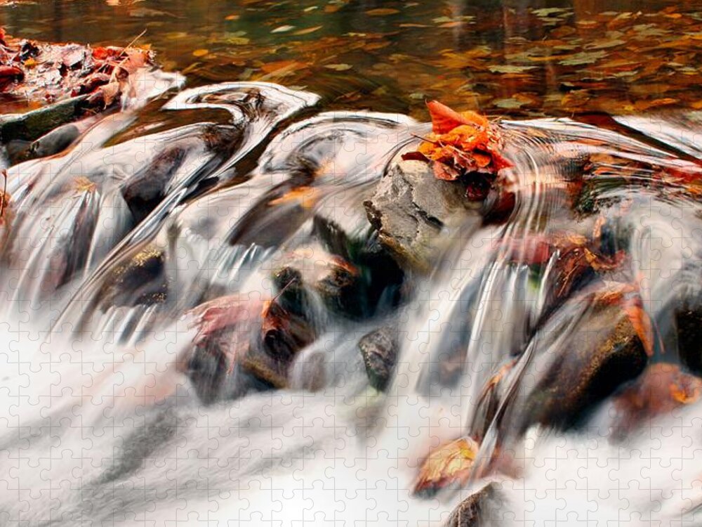 The Great Smoky Mountains National Park Jigsaw Puzzle featuring the photograph Fall waters by Carol Montoya