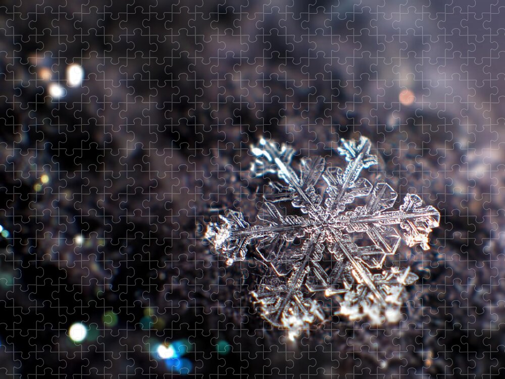 Snowflake Jigsaw Puzzle featuring the photograph Fallen Beauty by Rob Blair