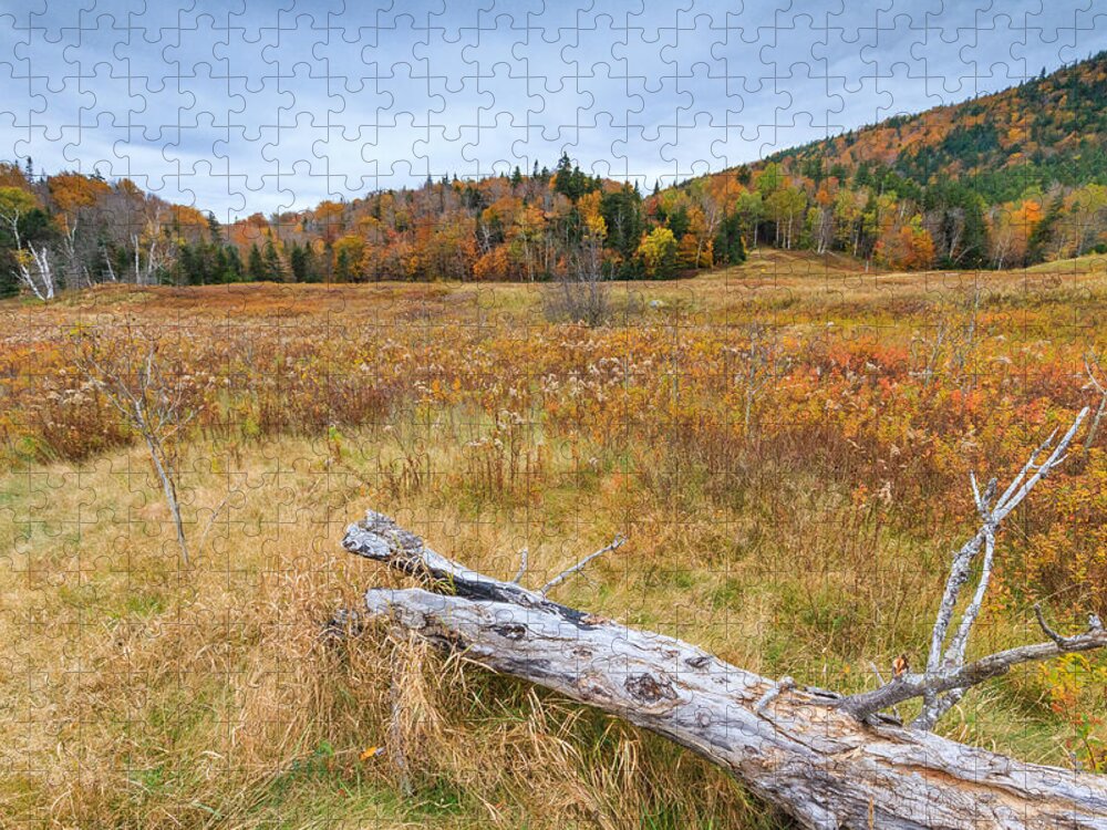 White Mountains Jigsaw Puzzle featuring the photograph Fallen by Bryan Bzdula