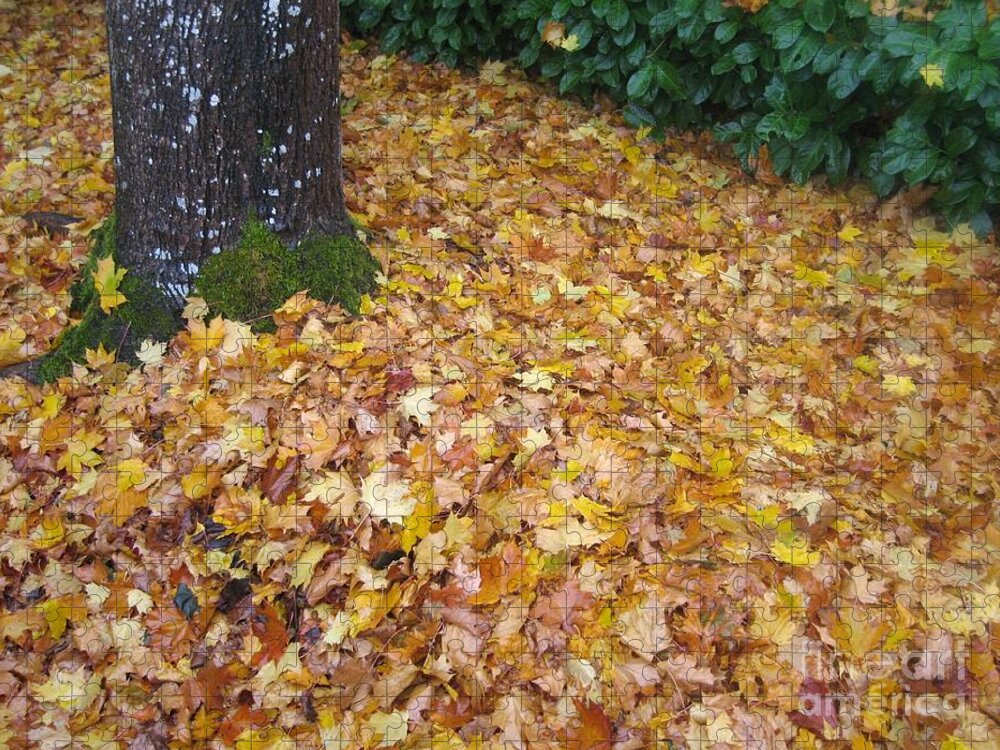 Autumn Jigsaw Puzzle featuring the photograph Fallen Leaves by James B Toy