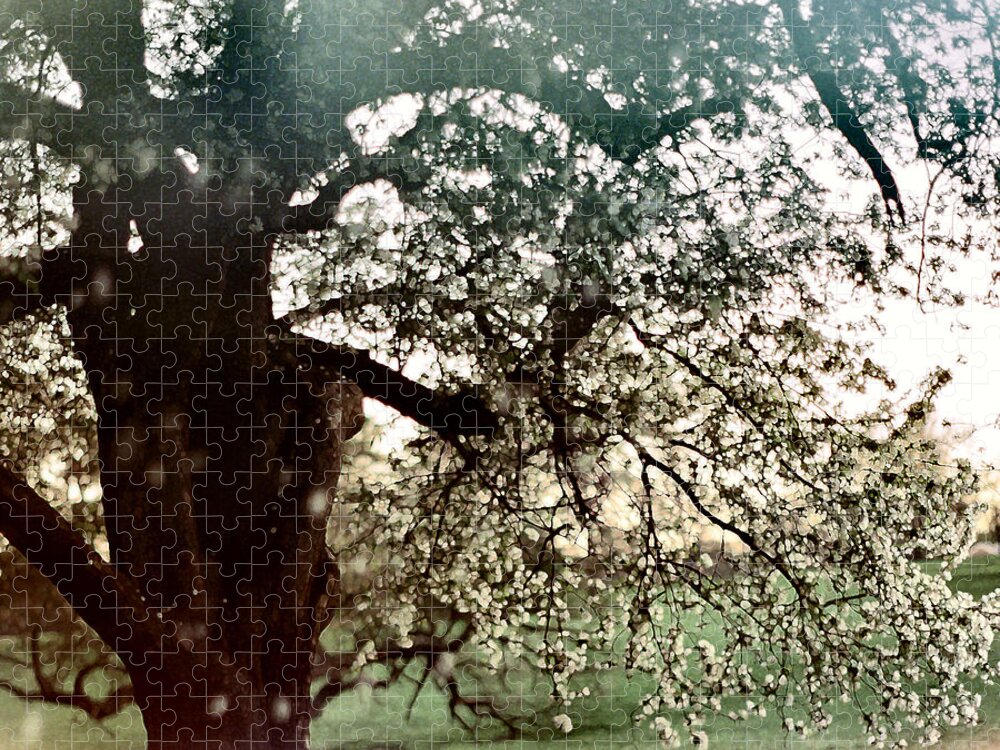 Minolta Camera Jigsaw Puzzle featuring the photograph Falling Blossoms by Stephanie Hollingsworth