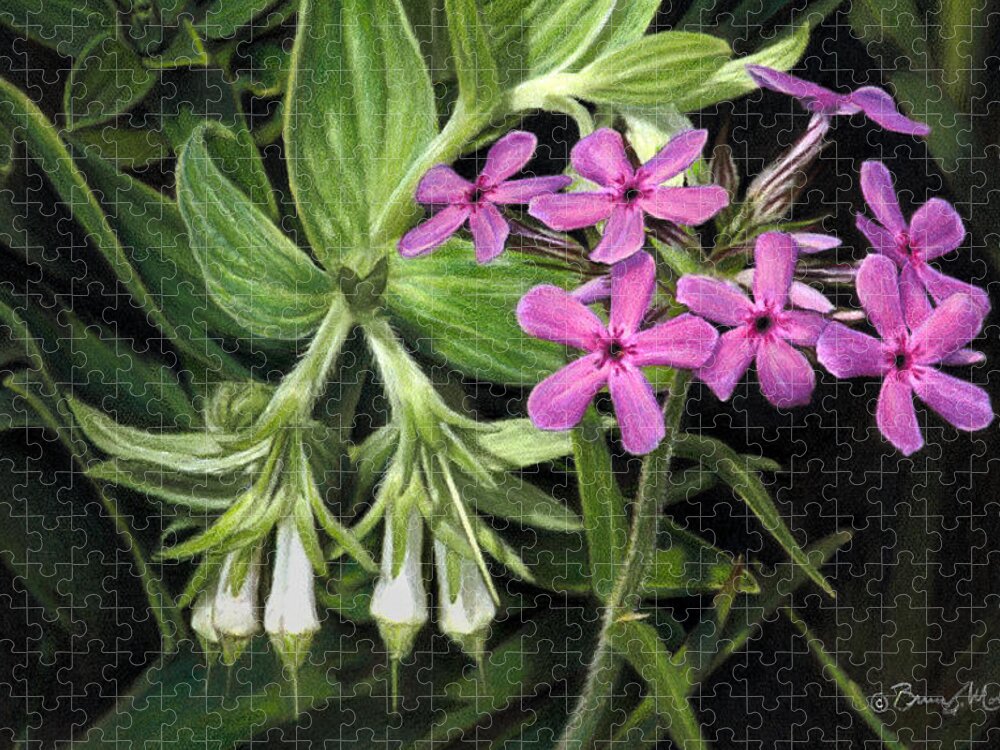 Wildflowers Jigsaw Puzzle featuring the drawing False Gromwell with Prairie Phlox by Bruce Morrison