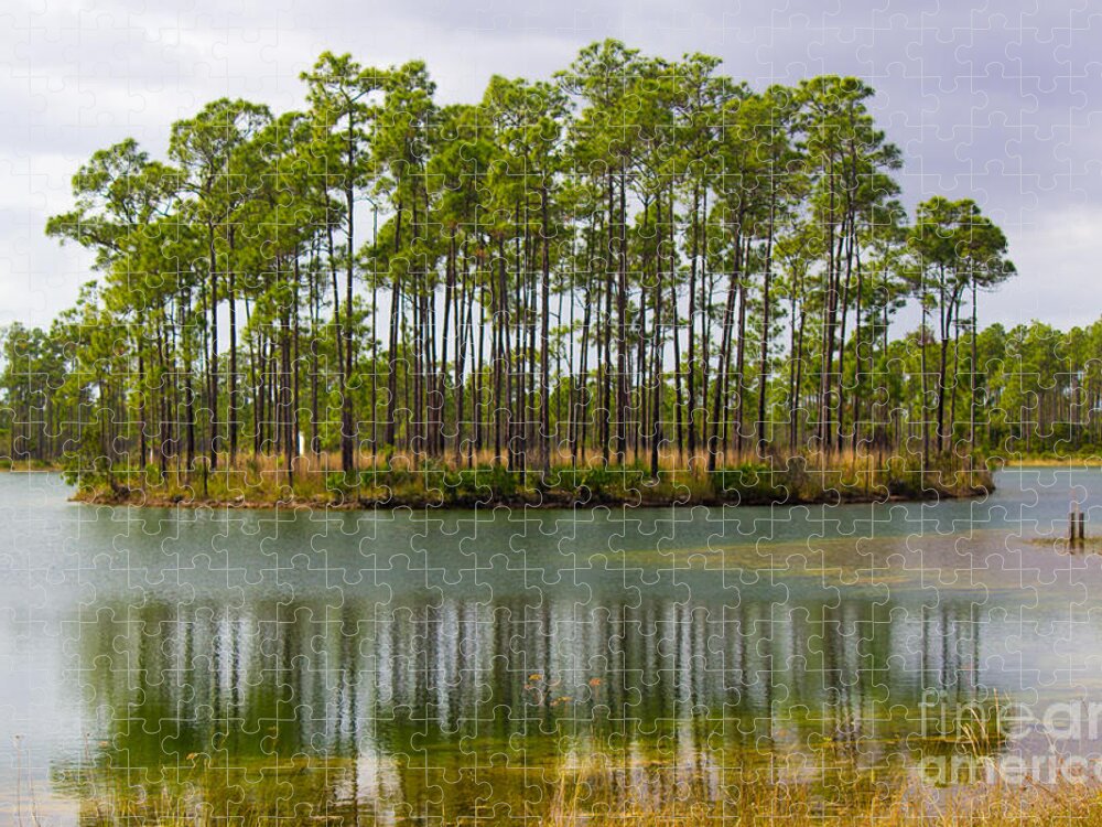 Everglades National Park Jigsaw Puzzle featuring the photograph Fantasy Island in the Florida Everglades by Rene Triay FineArt Photos