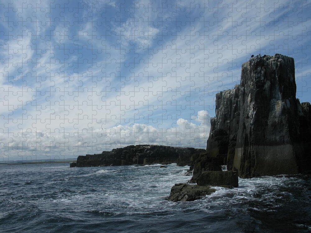 Islands Jigsaw Puzzle featuring the painting Farne Island Cliffs 2 England by Tom Conway
