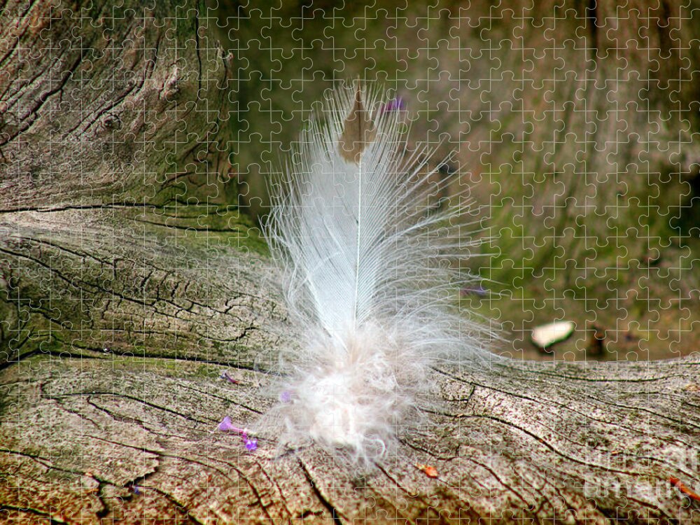 Feather Jigsaw Puzzle featuring the photograph Feather by Karen Adams