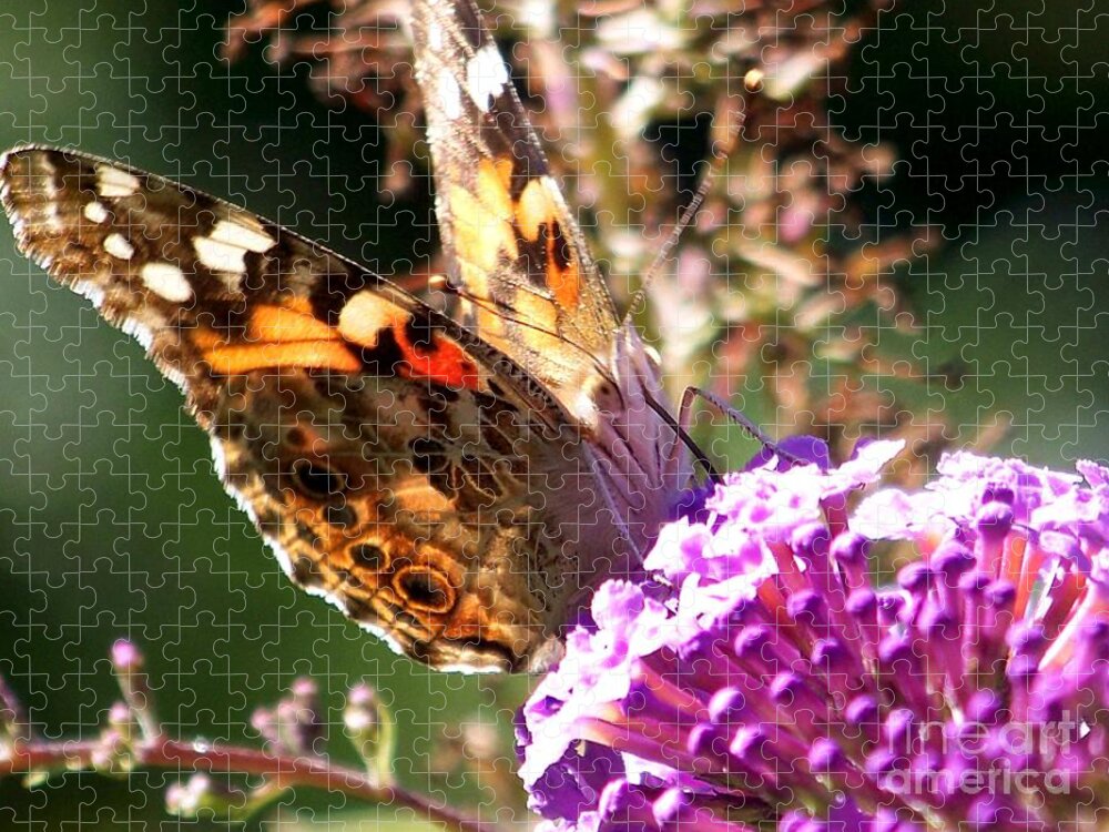 Butterfly Jigsaw Puzzle featuring the photograph Painted Lady Moth/Butterfly Gift Ideas by Eunice Miller
