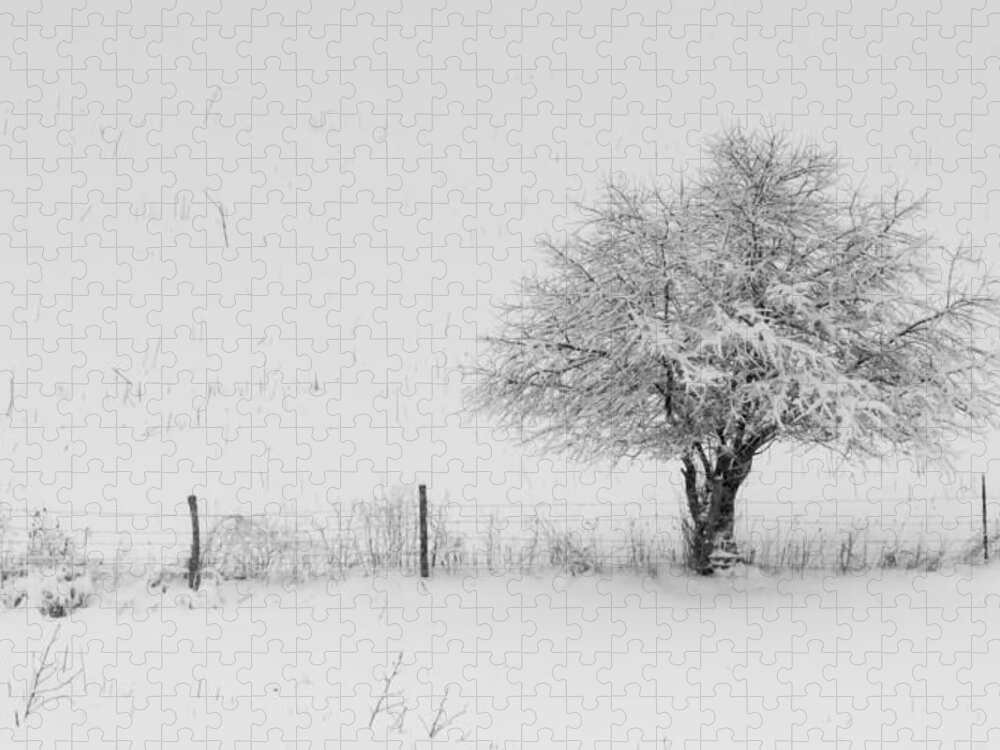 Fence Jigsaw Puzzle featuring the photograph Fence line in the Wintertime by Holden The Moment