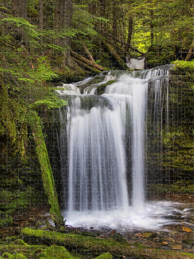 Idaho Jigsaw Puzzle featuring the photograph Fern Falls by Mark Kiver