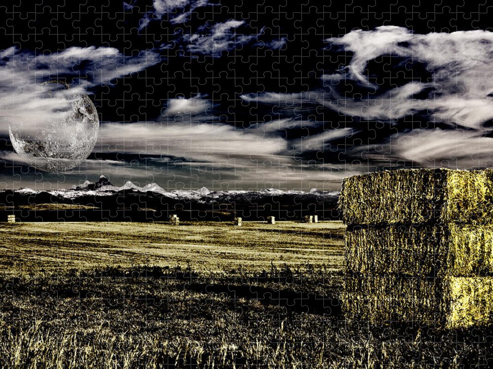 Field Jigsaw Puzzle featuring the digital art Field and hay by Bruce Rolff