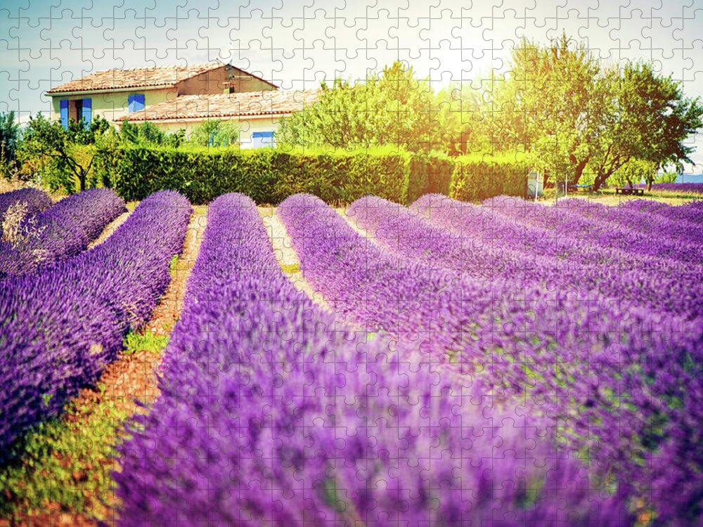 Scenics Jigsaw Puzzle featuring the photograph Field Of Lavender by Artmarie