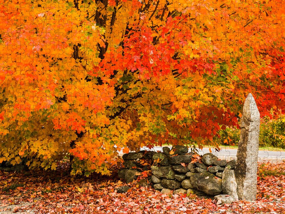 Autumn Foliage New England Jigsaw Puzzle featuring the photograph Fiery rock wall by Jeff Folger