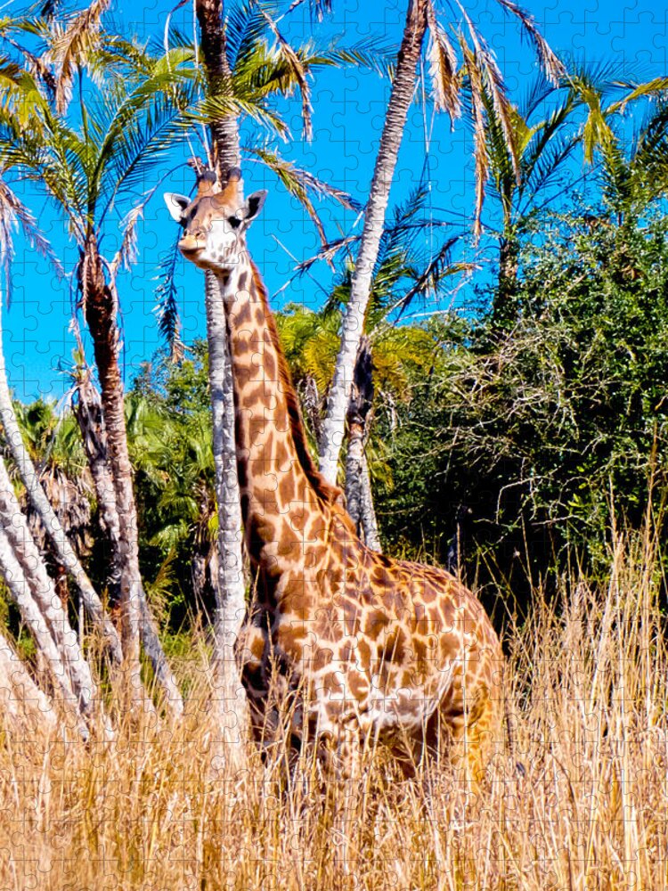 Giraffe Jigsaw Puzzle featuring the photograph Find the Giraffe by Greg Fortier