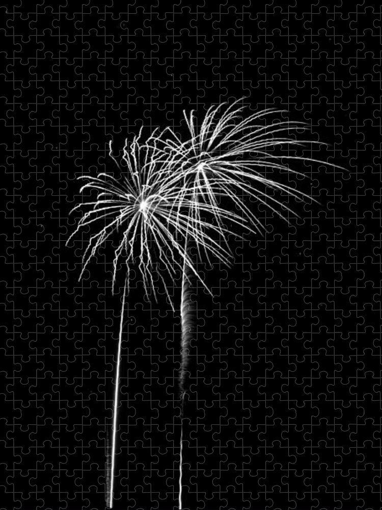 Addison Kaboom Jigsaw Puzzle featuring the photograph Firework Palm Trees by Darryl Dalton