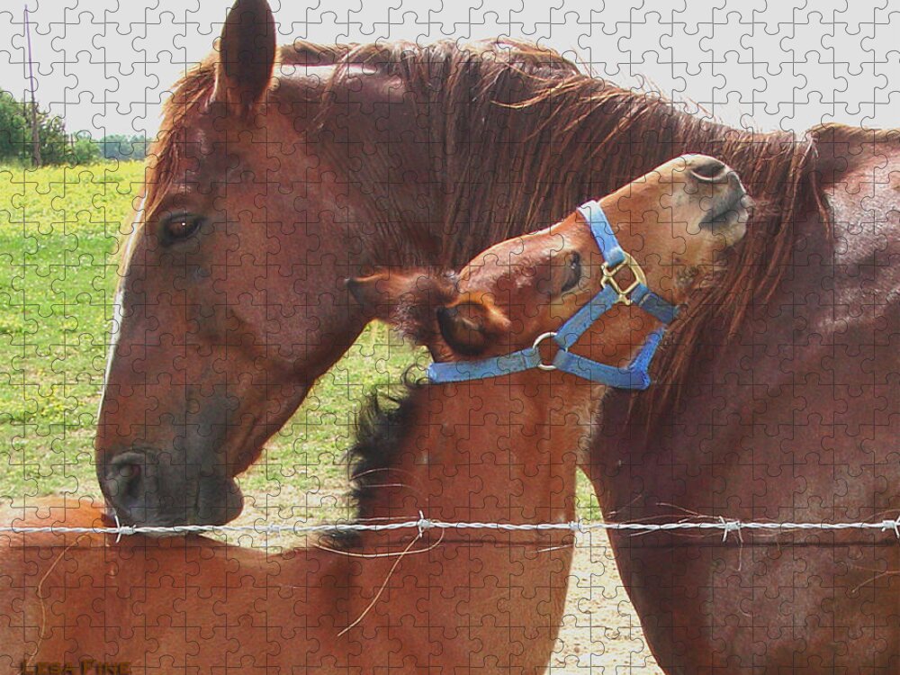 Foal Jigsaw Puzzle featuring the photograph First Hug by Lesa Fine