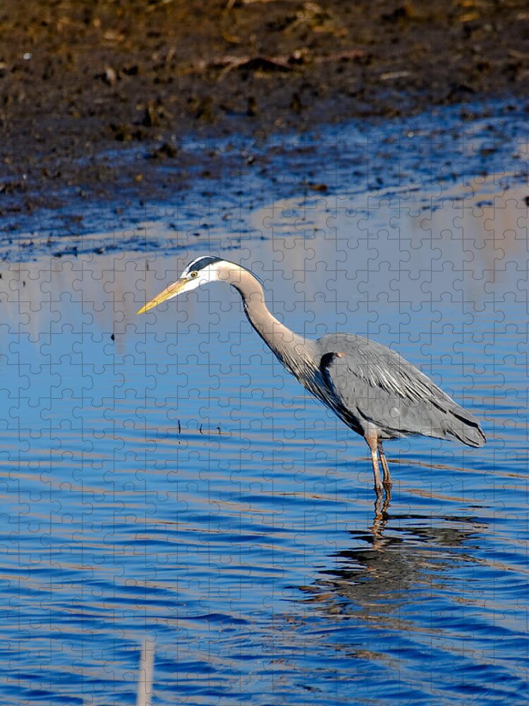 Edited Jigsaw Puzzle featuring the photograph Fishing by Gary Wightman
