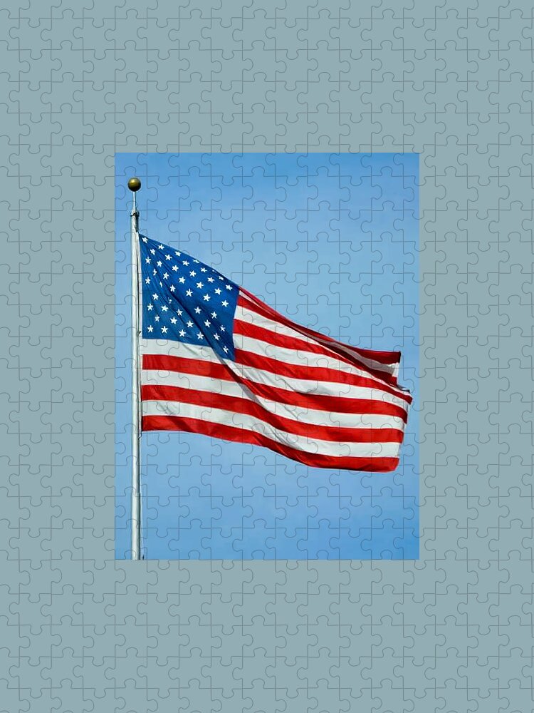 Flag Jigsaw Puzzle featuring the photograph Flag USA by Holden The Moment